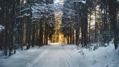 Canada Express Entry draw 2020 107350 IT As Canada Visa