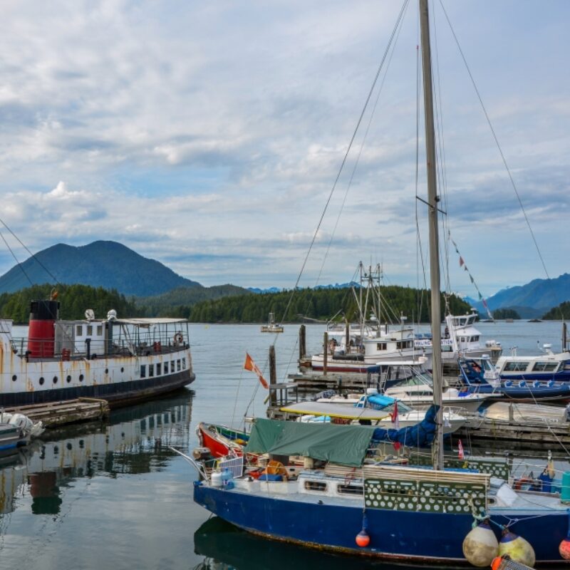 Canadavisa News November 29