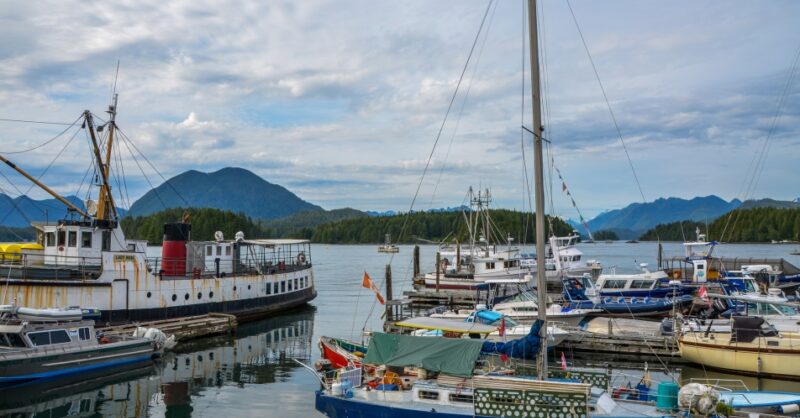 Week in review nov 15 2