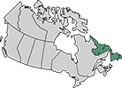 A map of Canada with Newfoundland and Labrador highlighted