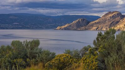 British Columbia November 10 Draw