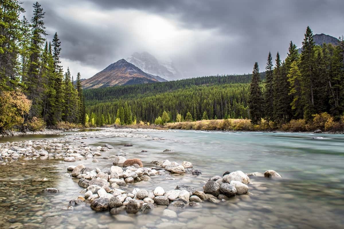 Alberta Opportunity Stream