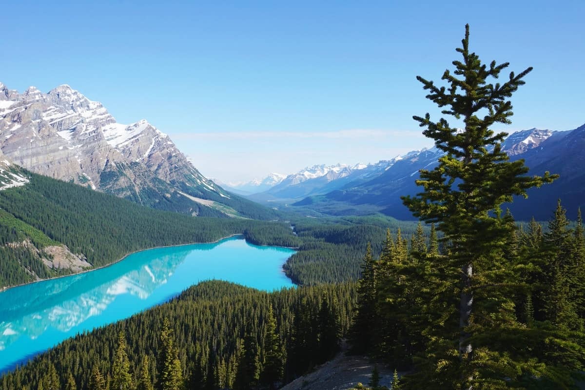 How to be eligible for Canada's FSTP immigration PR program