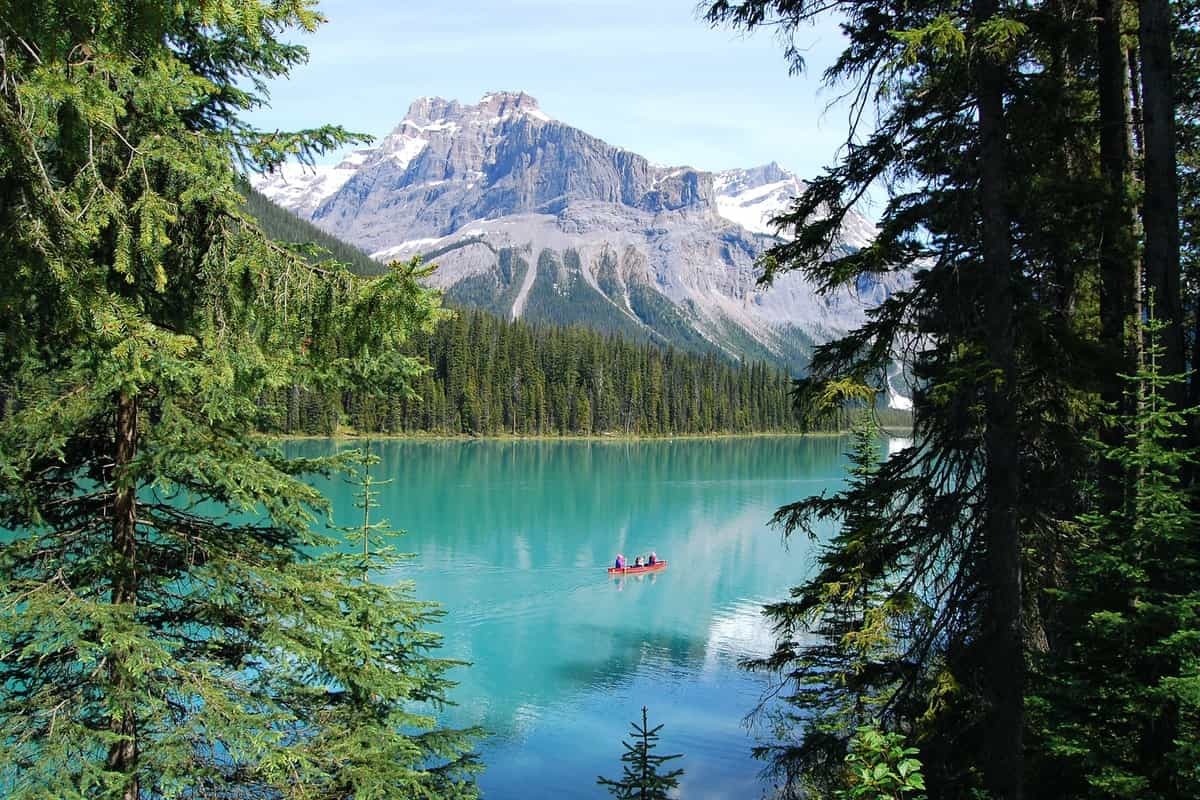 Explore your Federal Skilled Worker Immigration Options