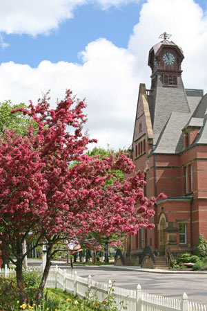 pei-pnp