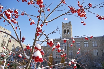 The University of Western Ontario in London, Ontario, Canada